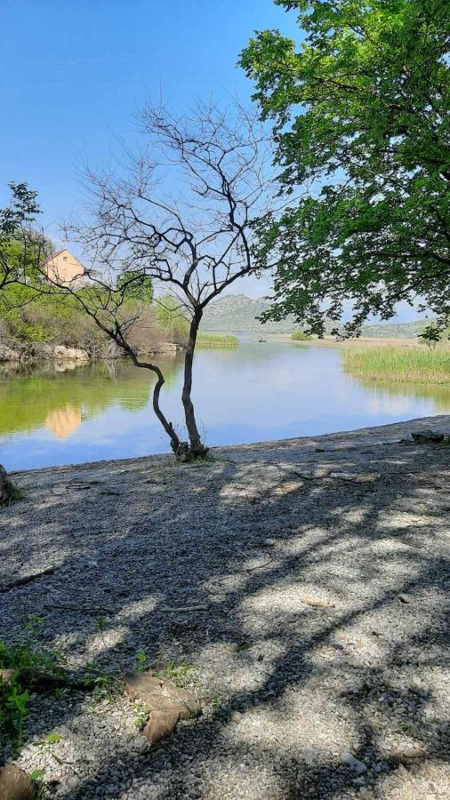 Wild Beauty House Skadar Lake ツェティニェ エクステリア 写真