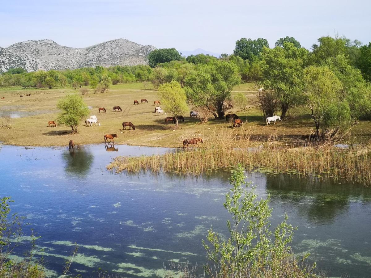 Wild Beauty House Skadar Lake ツェティニェ エクステリア 写真