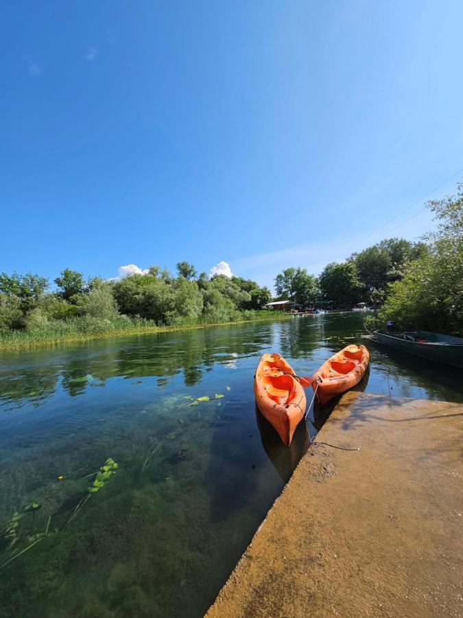 Wild Beauty House Skadar Lake ツェティニェ エクステリア 写真